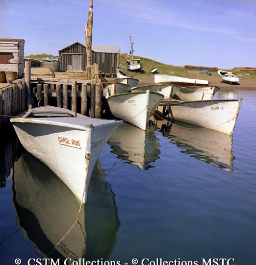 Boats docked at Mount Carmel harbour