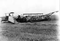 Holt reaper cutting wheat near Regina