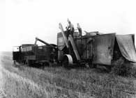 Holt Combined Harvester Model 36 loads a Federal grain truck