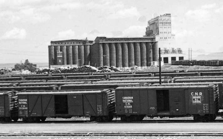 Wood and steel boxcars at a terminal elevator, Thunder bay, Ontario