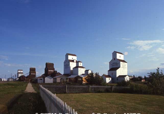 Grain elevators with annexes