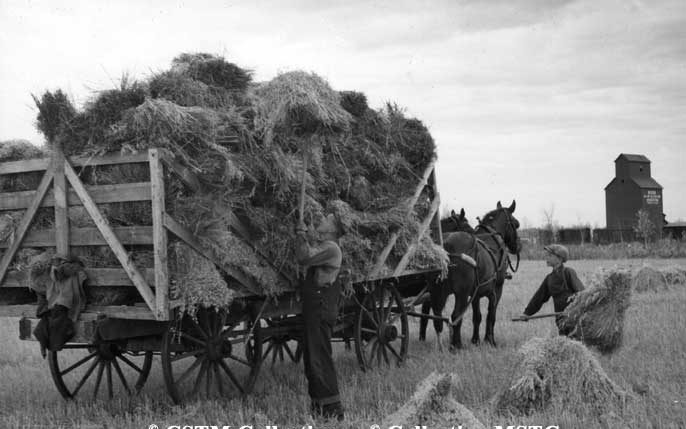 Loading stooks onto a wagon for carriage to the thresher