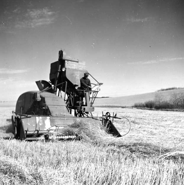 Combine harvester at work