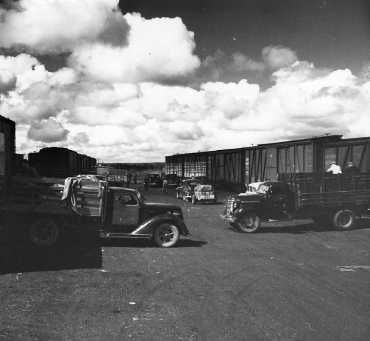 Lake St. John, Que. - Normandin shipment of blueberries