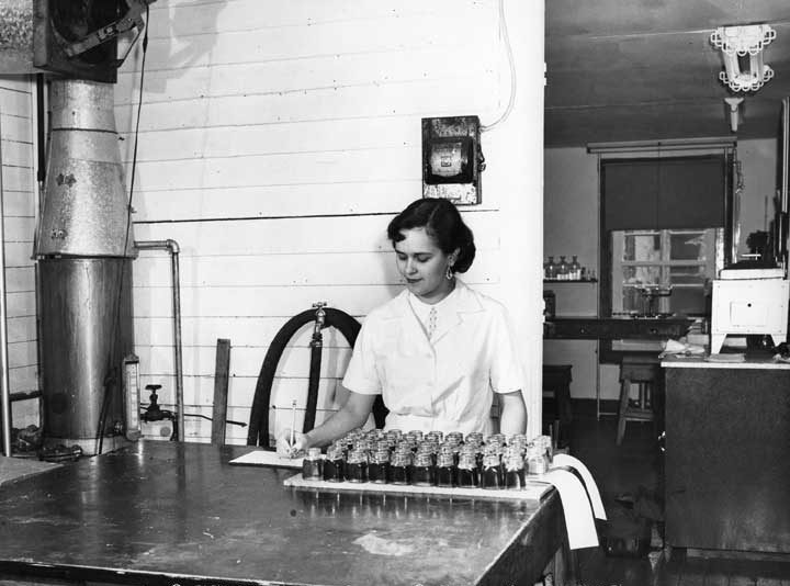 Plessisville Station - maple syrup factory and operations