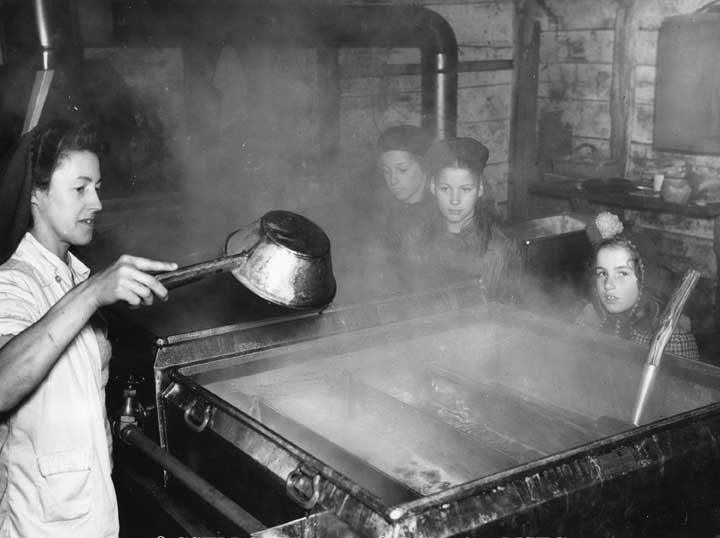 Maple syrup production