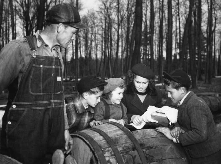 Maple syrup production