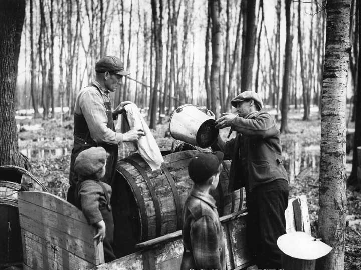 Quebec maple sugar scene