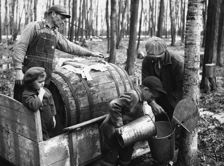 Quebec maple sugar scene