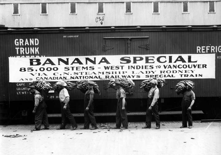 Hauling a shipment of bananas, Montreal