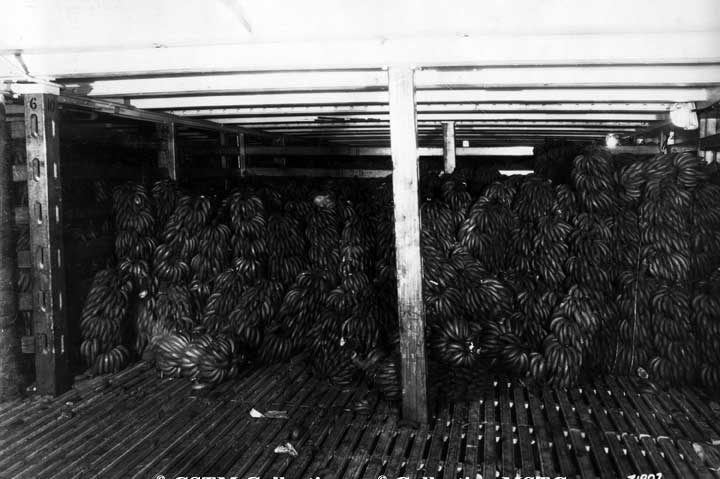 A recent shipment of bananas from a Canadian National Steamship, Montreal Terminal