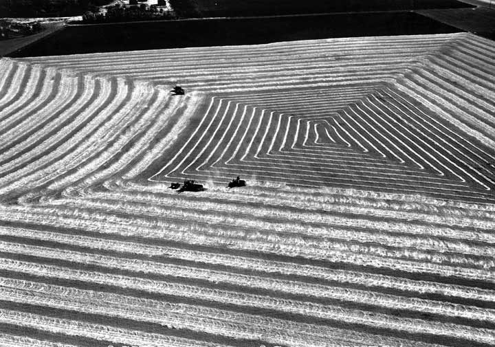 Harvesting near Portage La Prairie