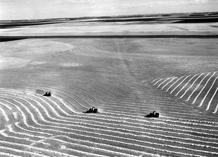 Harvesting near Portage La Prairie