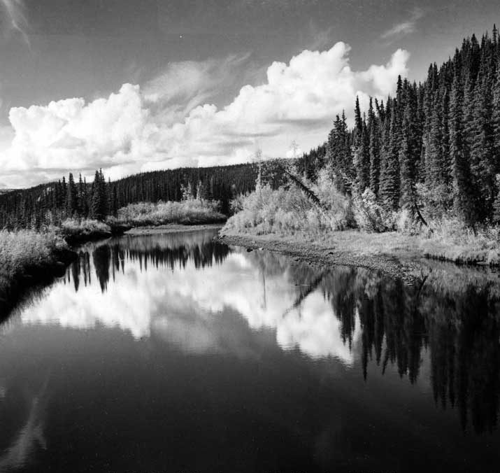 Fortymile River to W. of Clinton Creek, Y.T.