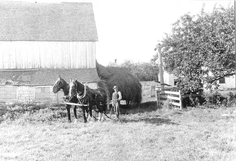 Unloading loose hay in mow