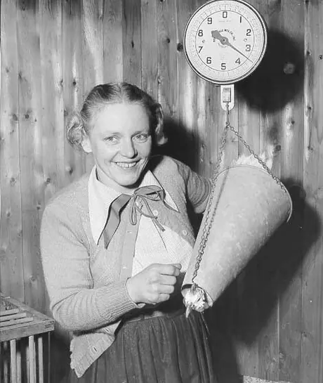 Weighing a chicken
