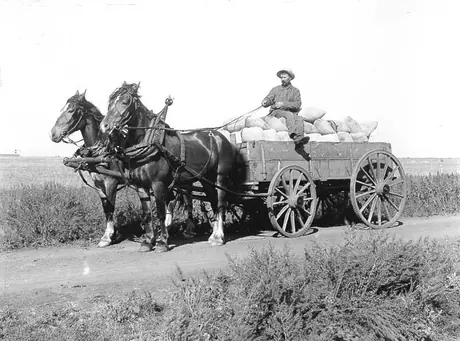 Hauling grain
