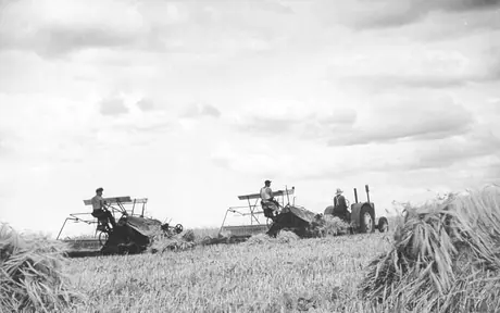Tractor pulling Massey Harris binders in tandem