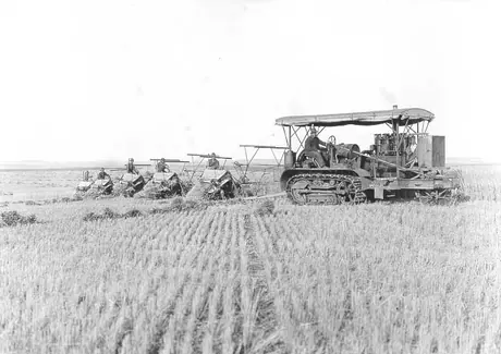 Binding wheat with five binders and Holt Caterpillar tractor