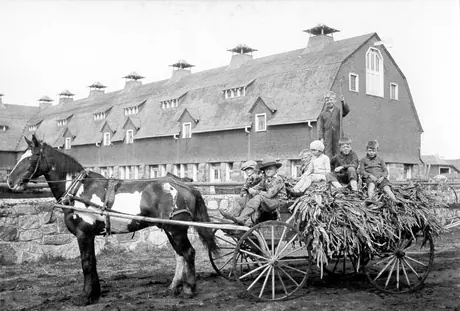 Children riding on load of corn stalks