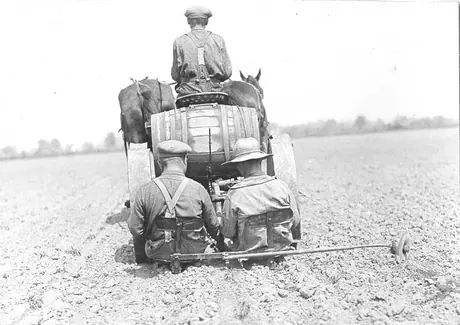 Horse-drawn planter