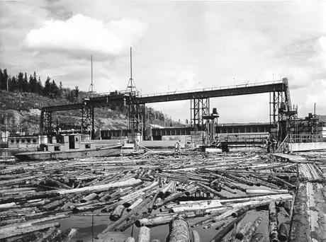 Moving logs towards the Rapide-Blanc Dam`s log chute