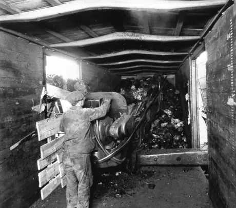 Loading coal into wooden boxcar with automatic loader, Elgin Mine