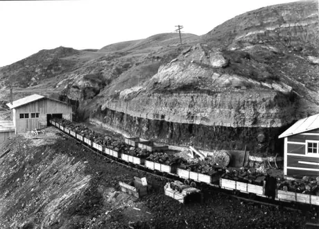 Coal from mine entering rotary dump house