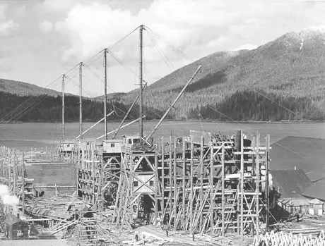 Prince Rupert dry dock and shipyard : freighters under construction