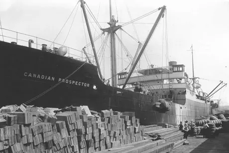 The Canadian Prospector : loading wool in Australia