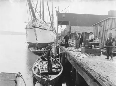Deep-sea fishing fleet at Liverpool, Nova Scotia