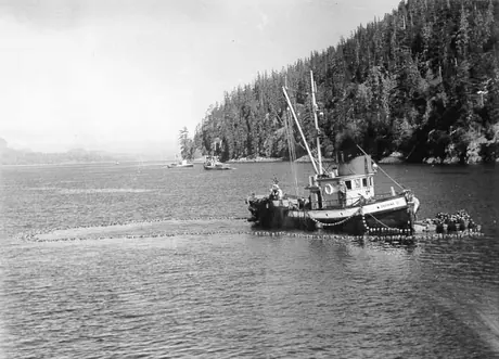 Commercial fishing on the Fraser River