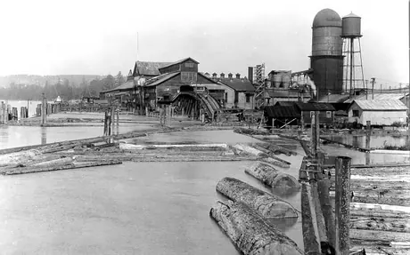 Fraser River lumber mills