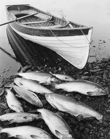 Salmon fishing, Cowichan Bay