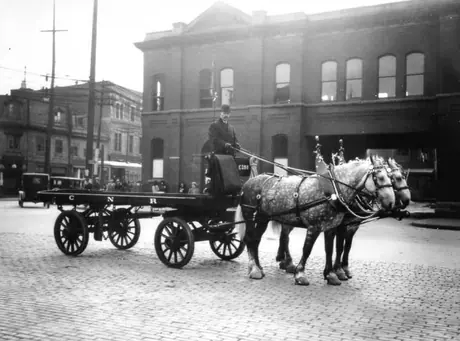 A freight wagon with its driver and team