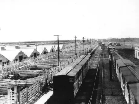 Freight cars in livestock yards