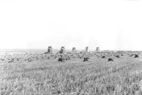 Grain elevators