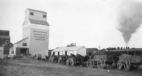 Delivering grain to the elevator for shipment to market