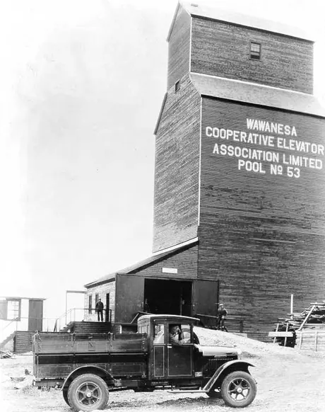 Delivering grain by truck to CO-OP elevator