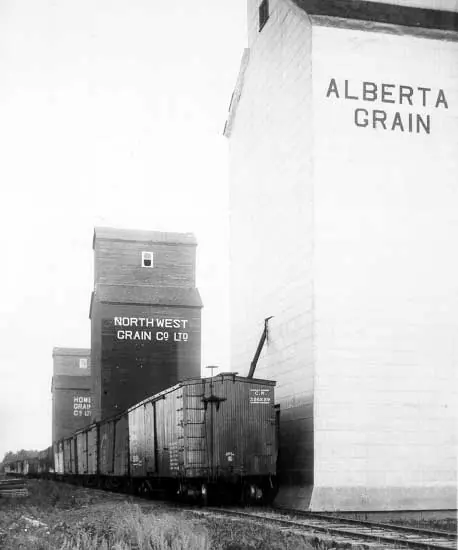 Loading grain into box car