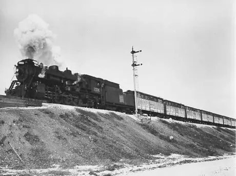 A freight train of stock cars pulled by locomotive No. 3374
