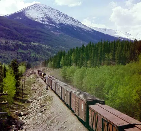 Freight train near Mount Robson