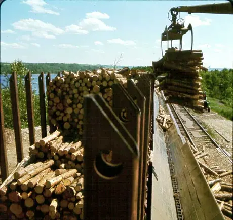 Unloading pulp wood from freight cars to conveyor at paper mill