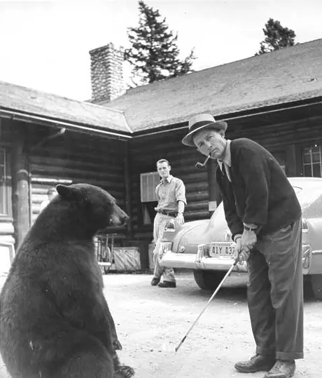 Bing Crosby with bear at Jasper Park Lodge