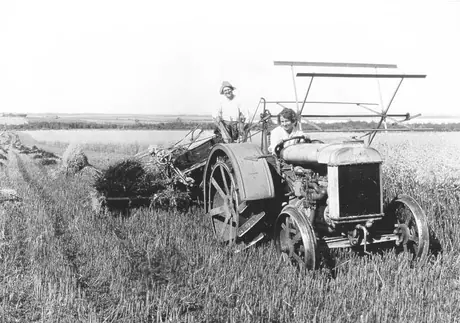 Harvesting wheat on the Trelle farm