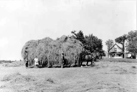 Loading loose hay