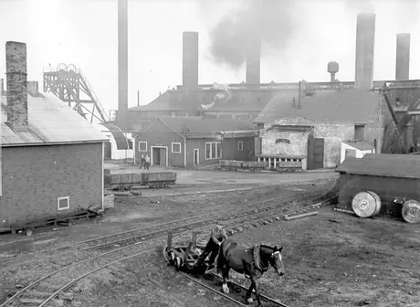 Mine pit pony used for hauling the coal