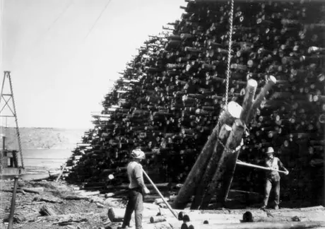 Port Royal Pulp and Paper Company : piling logs