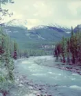 Sunwapta River, Alberta