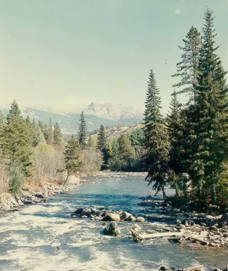 Miette River (Alta.)